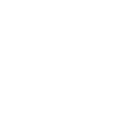 wig